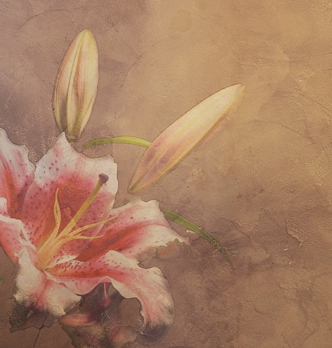 Papier peint Amaryllis