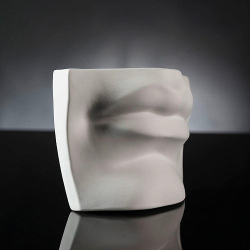 Sculpture bouche de David blanche