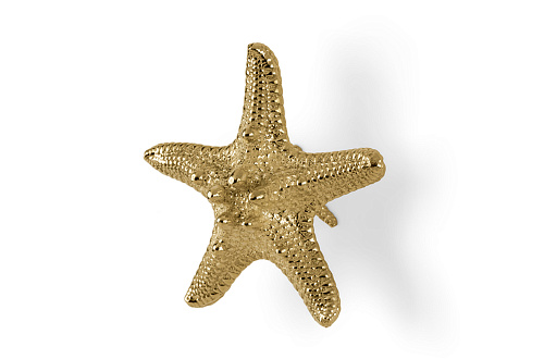 Poignée Starfish Linckia