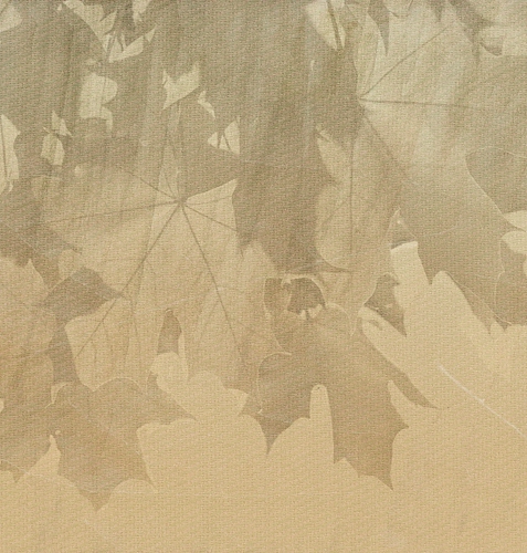 Papier peint feuilles créatives