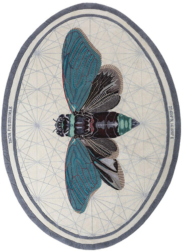 Tapis Tacua