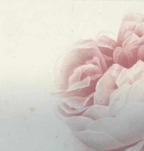 Papier peint fleurs romantiques