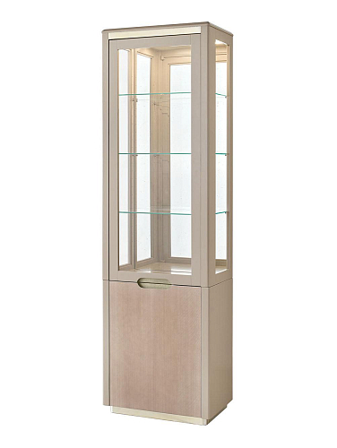 Armoire vitrine 1 porte