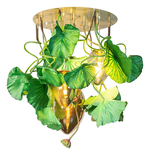 Lustre rond Dichondra