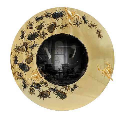 Miroir Évolution Convexe