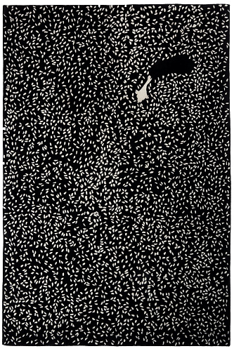 Tapis À la Recherche de Graines