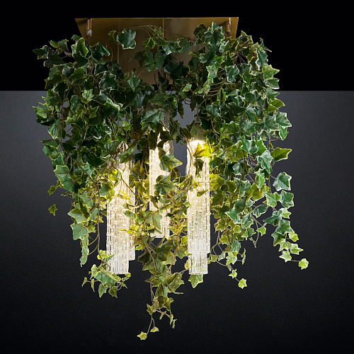 Lustre Ivy