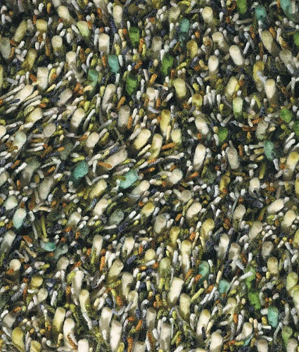 Tapis Spring 59107