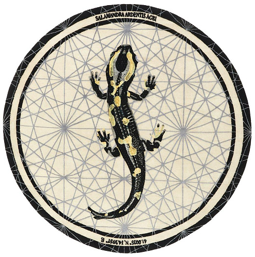 Tapis Salamandre