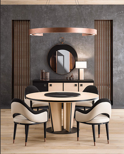 Chaise avec Accoudoirs