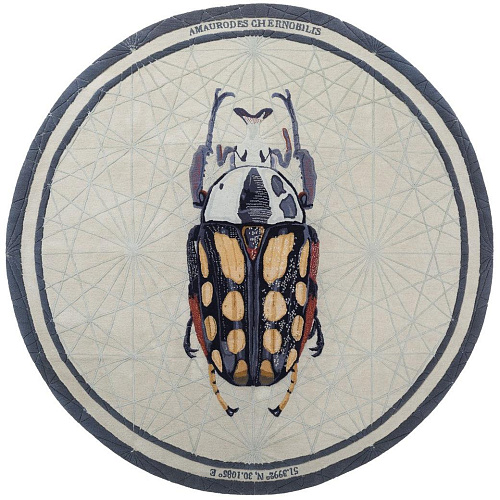 Tapis Amaurodes