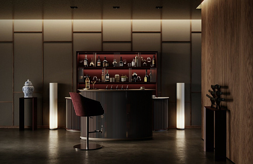 Bar Maison avec Comptoir Dry