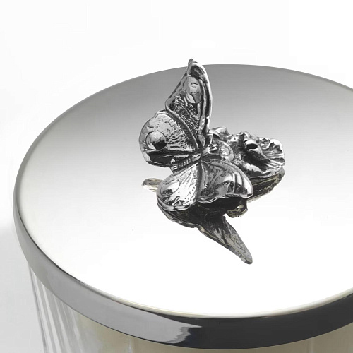 Vase Bougie Papillon De Printemps