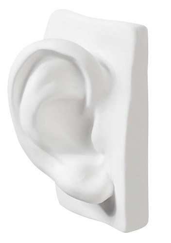 Sculpture oreille de David