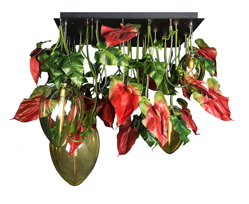 Lustre sombre Anthurium