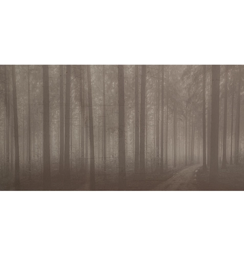 Papier peint forêt nocturne